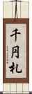 千円札 Scroll