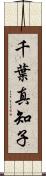 千葉真知子 Scroll