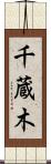 千蔵木 Scroll