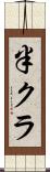 半クラ Scroll
