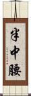 半中腰 Scroll