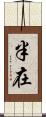 半在 Scroll