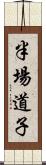 半場道子 Scroll