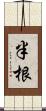半根 Scroll