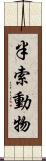 半索動物 Scroll