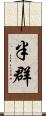 半群 Scroll