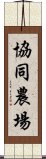 協同農場 Scroll