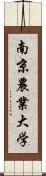 南京農業大学 Scroll