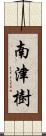 南津樹 Scroll
