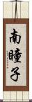 南瞳子 Scroll