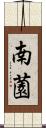 南薗 Scroll