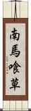 南馬喰草 Scroll
