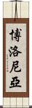 博洛尼亞 Scroll