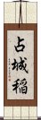 占城稲 Scroll