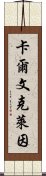 卡爾文克萊因 Scroll