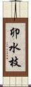 卯水枝 Scroll