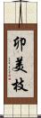 卯美枝 Scroll
