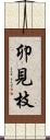 卯見枝 Scroll