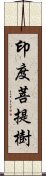 印度菩提樹 Scroll