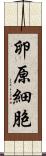 卵原細胞 Scroll