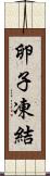 卵子凍結 Scroll