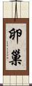 卵巢 Scroll