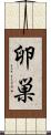 卵巣 Scroll