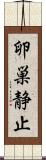 卵巣静止 Scroll