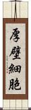 厚壁細胞 Scroll