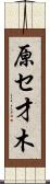 原セ才木 Scroll