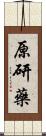 原研藥 Scroll