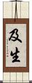 及生 Scroll