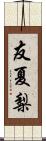 友夏梨 Scroll