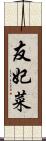 友妃菜 Scroll