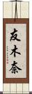 友木奈 Scroll