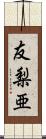 友梨亜 Scroll