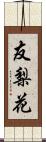 友梨花 Scroll