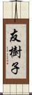 友樹子 Scroll