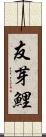 友芽鯉 Scroll