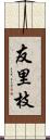 友里枝 Scroll