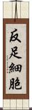 反足細胞 Scroll