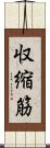 収縮筋 Scroll