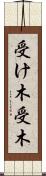 受け木 Scroll