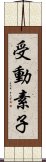 受動素子 Scroll