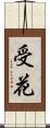 受花 Scroll
