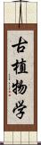 古植物学 Scroll