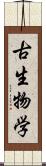 古生物学 Scroll