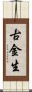 古金生 Scroll