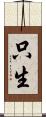 只生 Scroll