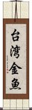 台湾金魚 Scroll